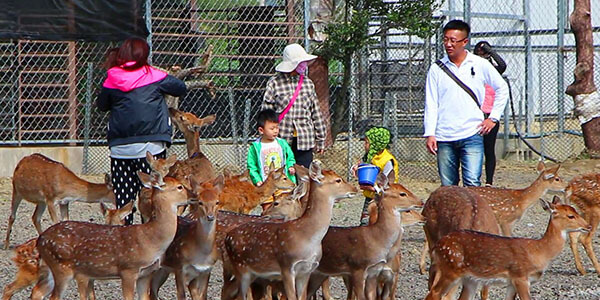 墾丁鹿境優惠票、夏苑旅宿